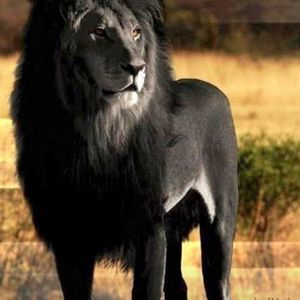 Meet your Posher, Ernesto